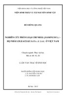 Nghiên cứu phân loại chi nhài (jasminum l ) họ nhài (olecaeace hoffm   link ) ở việt nam