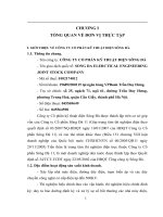 Báo Cáo Tổng Quan Về Công Ty Cổ Phần Kỹ Thuật Điện Sông Đà