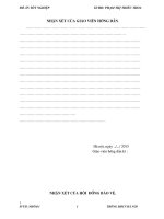 đồ án tốt nghiệp Puli định hướng