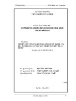 NGHIÊN CỨU CÔNG NGHỆ PHỤC HỒI GỐI ĐỠ BA BÍT CỦA TUA BIN TRONG CÁC NHÀ MÁY NHIỆT ĐIỆN ĐỐT THAN 300MW