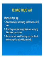 Bài giảng thực vật thuốc tế bào thực vật 