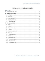 Tổng quan dân tộc Thái (PDF,Word)