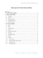 Tổng quan dân tộc X Tiêng (PDF,Word)