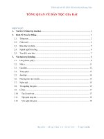 Tổng quan dân tộc Gia Rai (PDF,Word)