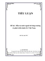 Đề tài : Đầu tư nước ngoài tới tăng trưởng và phát triển kinh tế ở Việt Nam.