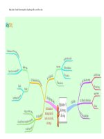 Bai 1 Nghi luan ve mot hien tuong doi song so do tu duy