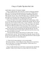 Chiến lược marketing Tập đoàn mai linh