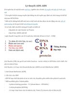 Cơ chế di truyền cấp độ phân tử