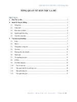 Tổng quan dân tộc La Hủ (PDF,Word)