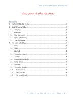 Tổng quan dân tộc Cơ Ho (PDF,Word)