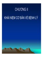 Bài giảng bệnh học thủy sản chương 2   hồ phương ngân 