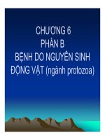 Bài giảng bệnh học thủy sản chương 6   hồ phương ngân (phần b) 