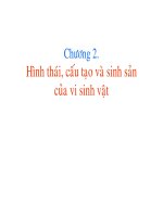 Bài giảng vi sinh vật thực phẩm   chương 2 hình thái, cấu tạo và sinh sản của vi sinh vật 