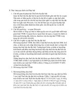 Đối tượng không chịu thuế tiêu thụ đặc biệt