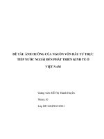Báo cáo thảo luận: ẢNH HƯỞNG CỦA NGUỒN VỐN ĐẦU TƯ TRỰC TIẾP NƯỚC NGOÀI ĐẾN PHÁT TRIỂN KINH TẾ Ở VIỆT NAM
