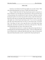 Phát triển truyền thông thương hiệu của Công ty Cổ phần Vận tải biển Sơn Tùng