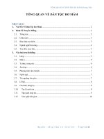 Tổng quan dân tộc Rơ Măm (PDF,Word)