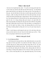 sáng kiến kinh nghiệm khai thác các ứng dụng từ một bài toán có quy luật ở THCS