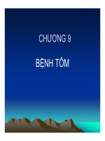 Bài giảng bệnh học thủy sản chương 9   hồ phương ngân 