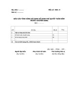 BÁO CÁO TÌNH HÌNH SỬ DỤNG SỐ KINH PHÍ QUYẾT TOÁN NĂM TRƯỚC CHUYỂN SANG