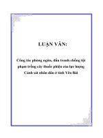 Công tác phòng ngừa, đấu tranh chống tội phạm trồng cây thuốc phiện của lực lượng cảnh sát nhân dân ở tỉnh yên bái 