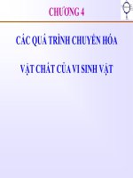 Bài giảng vi sinh vật thực phẩm   chương 4 các quá trình chuyển hóa vật chất của vi sinh vật 
