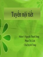 Bài thuyết trình tuyến nội tiết