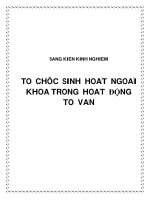 Tỏ chức sinh hoạt ngoại khóa trong hoạt động tổ Văn
