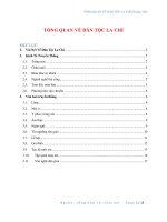 Tổng quan dân tộc La Chí (PDF,Word)