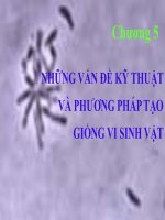 Bài giảng vi sinh vật thực phẩm   chương 5 những vấn đề kỹ thuật và phương pháp tạo giống vi sinh vật 