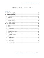 Tổng quan dân tộc Thổ (PDF,Word)