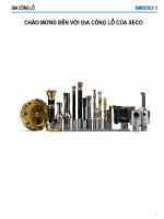 DỤNG CỤ GIA CÔNG CẮT GỌT