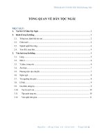 Tổng quan dân tộc Ngái (PDF,Word)