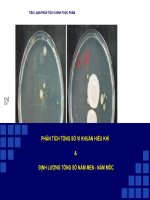 PHÂN TÍCH TỔNG SỐ VI KHUẨN HIẾU KHÍ - ĐỊNH LƯỢNG TỔNG SỐ NẤM MEN-NẤM MÔC