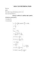 Báo cáo mô phỏng bằng phần mềm PSIM