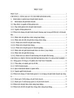 PHÂN TÍCH CHI PHÍ KINH DOANH CỦA DOANH NGHIỆP: Công ty Cổ phần sữa Việt Nam Vinamilk