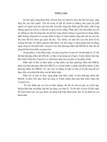 Pháp luật về đơn phương chấm dứt HĐLĐ  Thực tiễn thực hiện tại Công ty TNHH Bảo hiểm nhân thọ VietinAviva