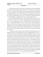 Phát triển chính sách xúc tiến thương mại sản phẩm băng tải cao su trên thị trường miền bắc của công ty cổ phần  thương mại sản xuất  XNK Tiến Việt