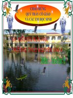 Bài 33: Điều chế Hidro bằng Phản ứng thế  (hóa 8)