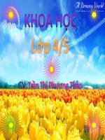 Khoa học lớp 4  Quan hệ chuỗi thức ăn trong tự nhiên