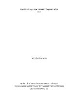 QUẢN lý rủi RO tín DỤNG TRUNG dài hạn tại NGÂN HÀNG TMCP đầu tư và PHÁT TRIỂN VIỆT NAM 