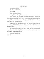 Thực trạng và giải pháp đẩy mạnh hoạt động xuất khẩu quế hồi của công ty TNHH XNK lâm sản Sinh Thành sang thị trường EU