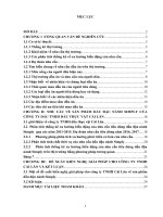 nghiên cứu thống kê về nhu cầu dầu đậu nành Simply  tại Việt nam.