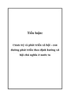 Chính trị và phát triển xã hội   con đường phát triển theo định hướng xã hội chủ nghĩa ở nước ta 