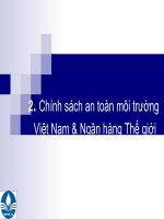 Chính sách an toàn môi trường việt nam và ngân hàng thế giới , đại học kinh tế