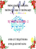 Bai 24 - Cây sống ở đâu?