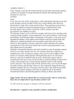 tài liệu SAMPLE ESSAY 2