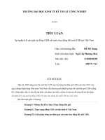 Tiểu luận ảnh hưởng của đồng USD đến nền kinh tế việt