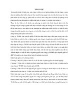 Hoàn thiện cơ cấu tổ chức và phân quyền của công ty TNHH vận chuyển quốc tế HD