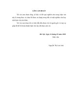 Phân tích hoạt động tiêu thụ sản phẩm của công ty đầu tư  phát triển chè nghệ an